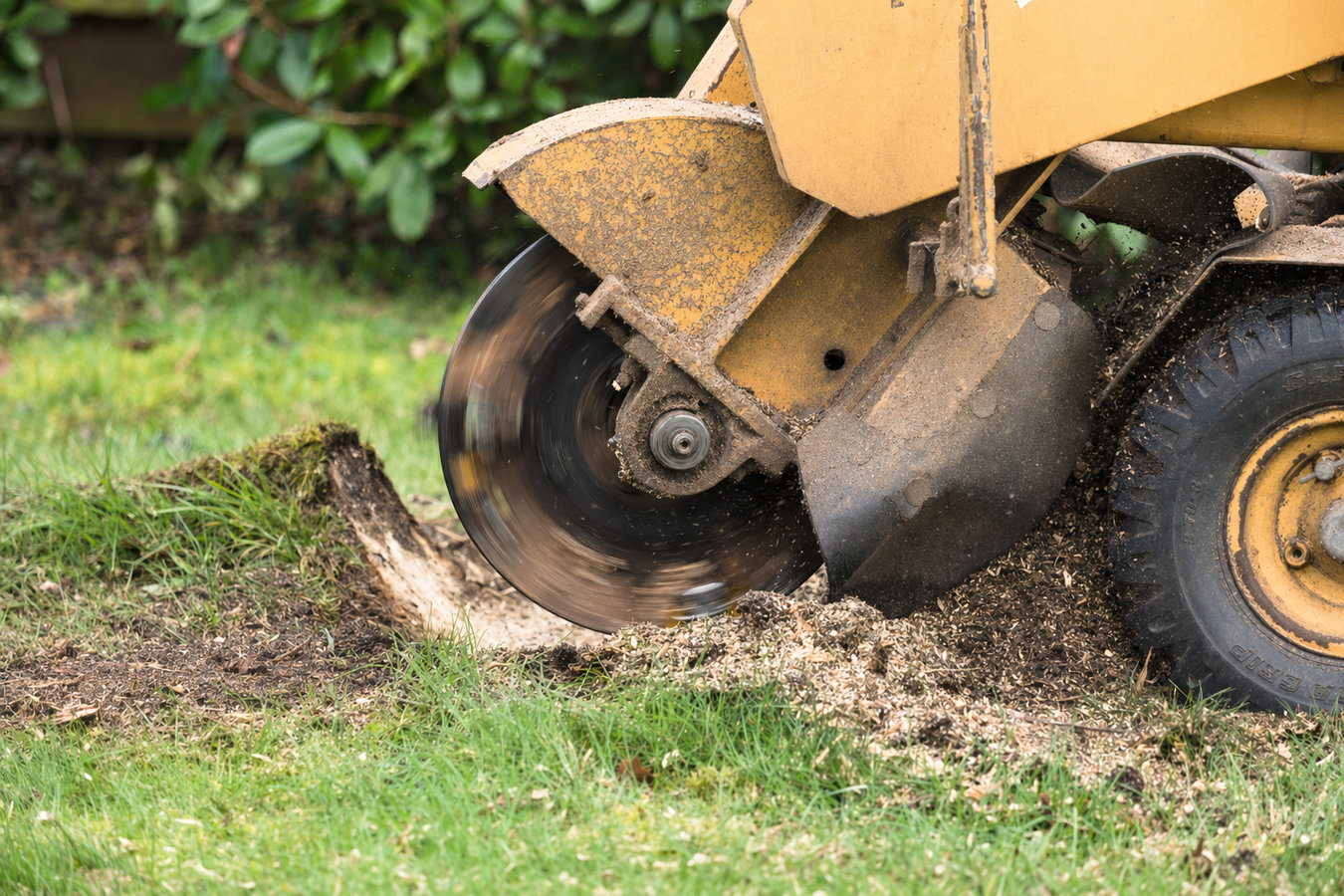 Stump removal